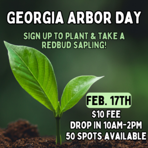 Georgia Arbor Day Workshop
